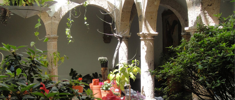 Centro Ejecutivo MG & Asociados